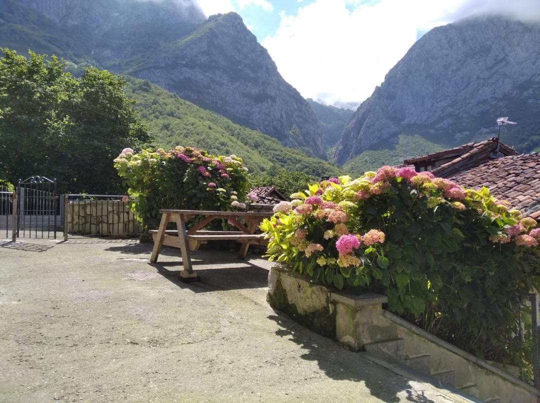 Hostal La Xiana Taranes Exterior foto