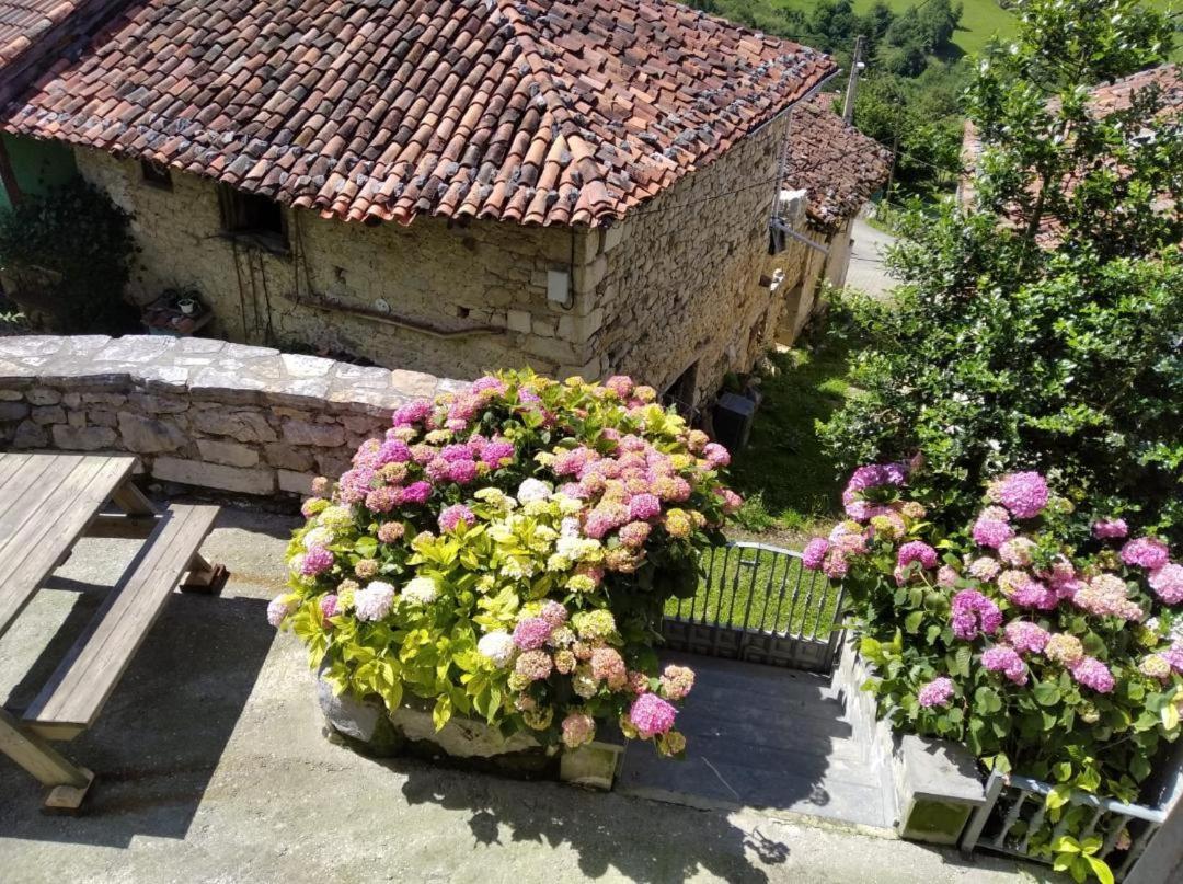 Hostal La Xiana Taranes Exterior foto